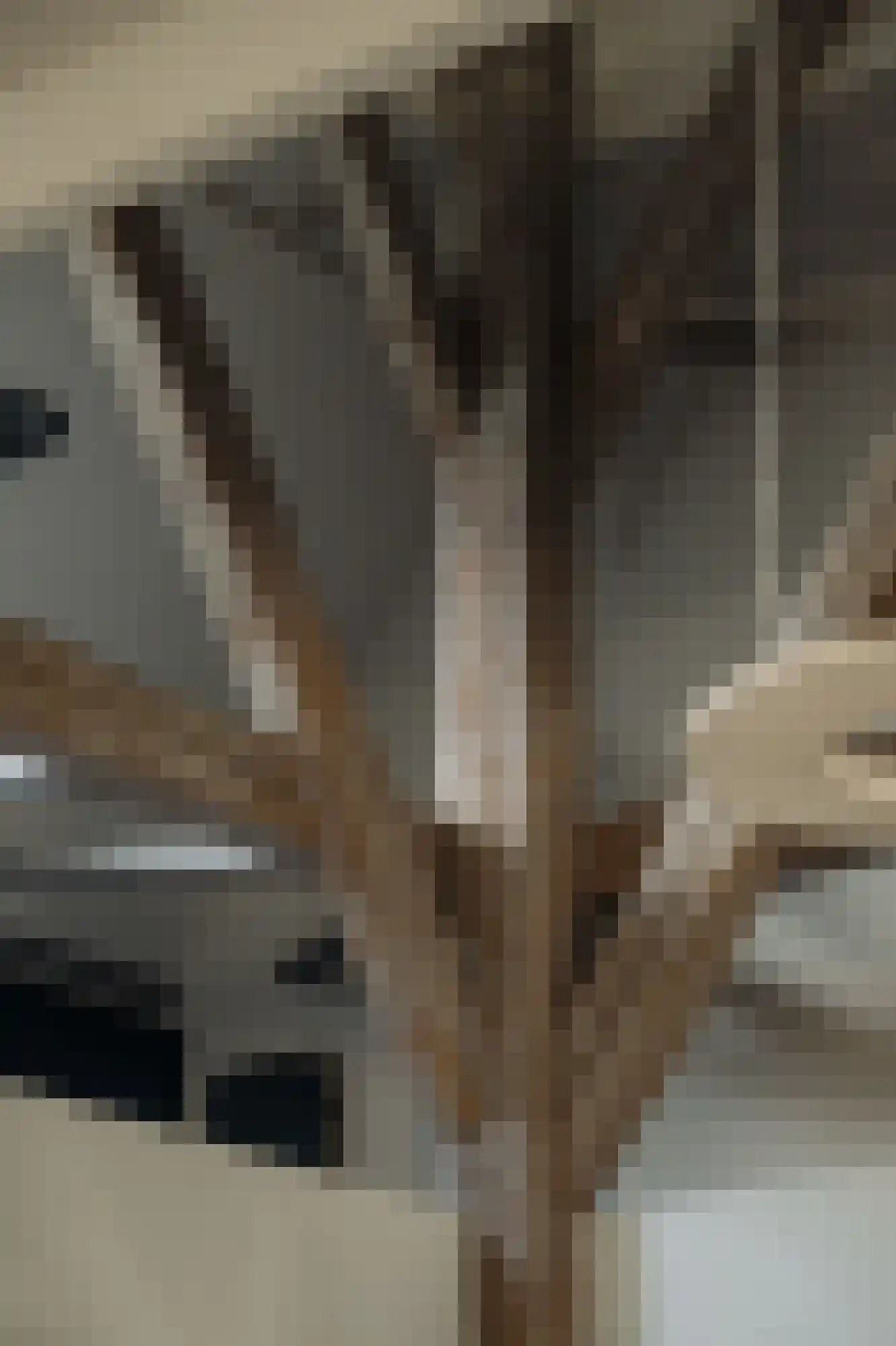 Den Ilp 201 Den Ilp thumbnail 6