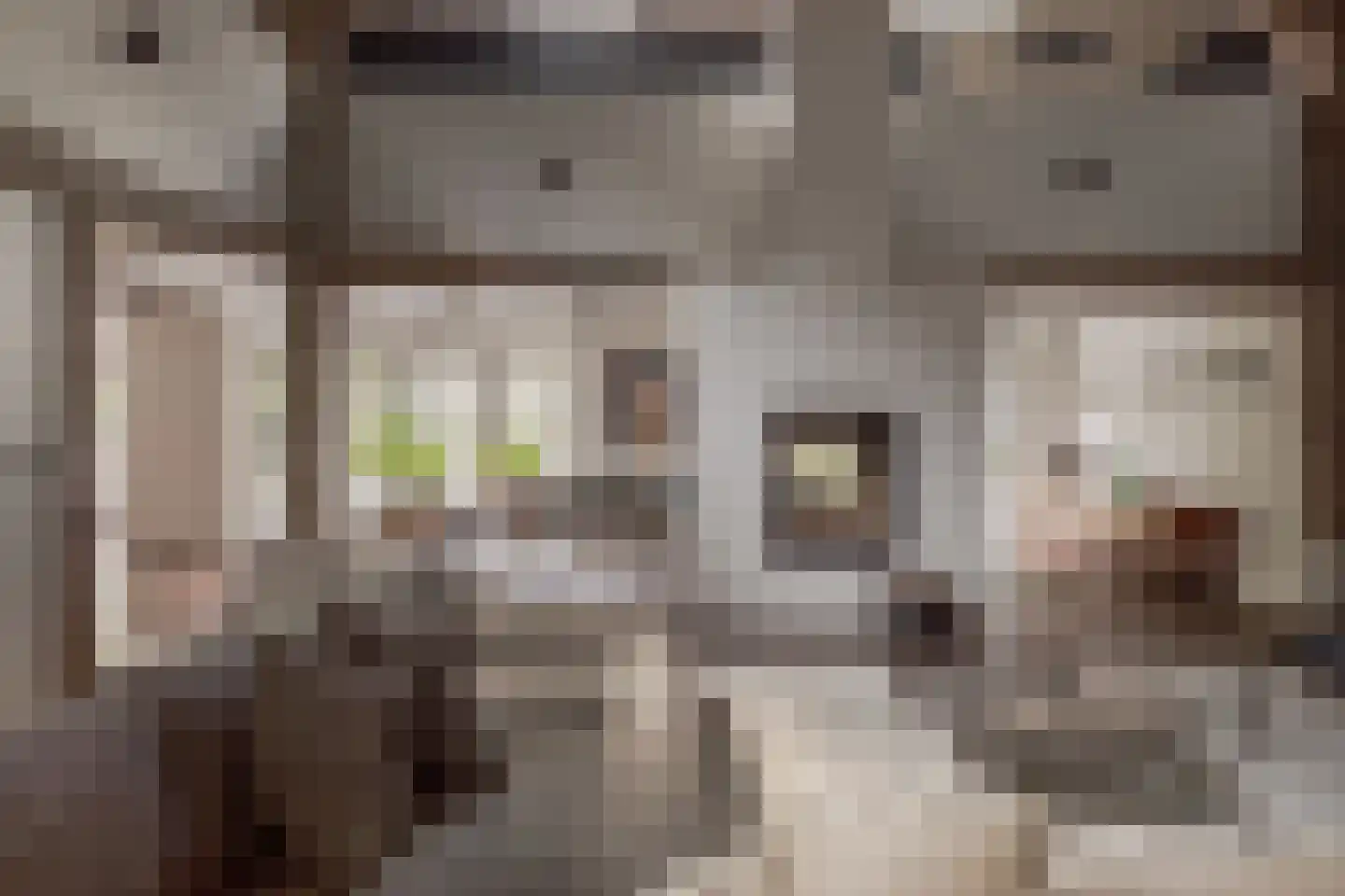 Den Ilp 201 Den Ilp thumbnail 6