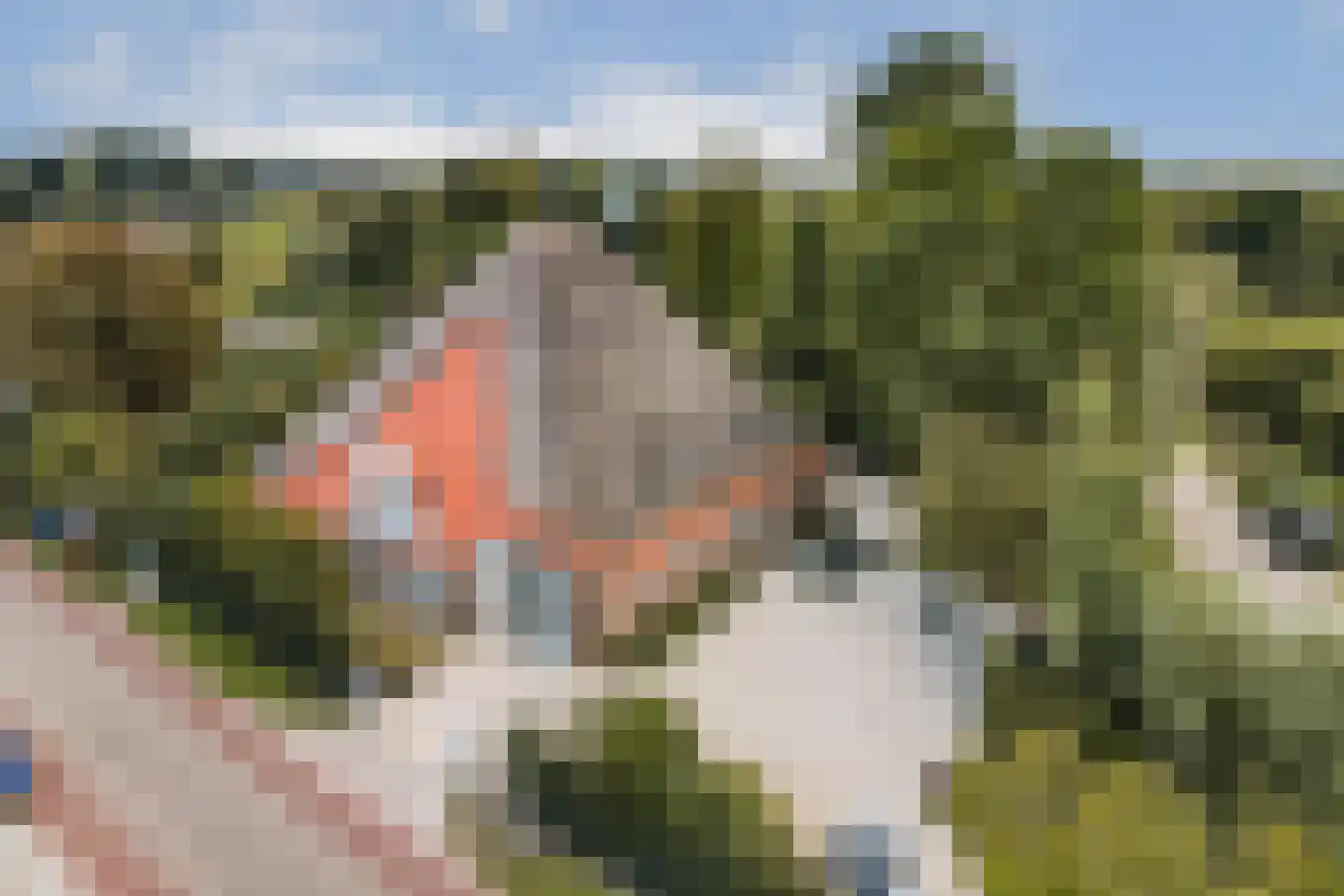 Den Ilp 201 Den Ilp thumbnail 62