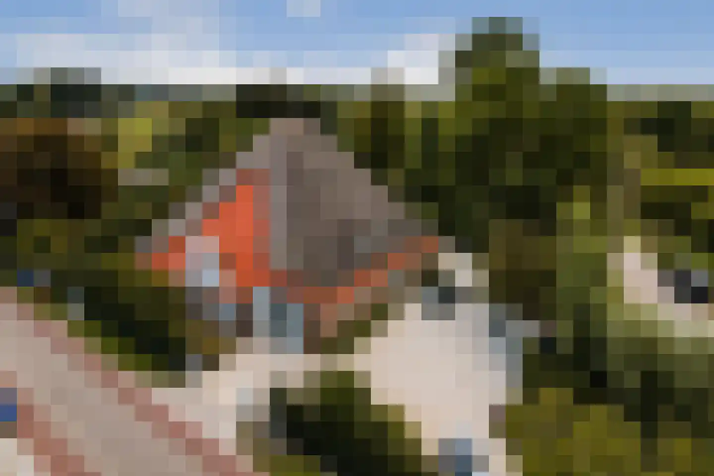 Den Ilp 201 Den Ilp thumbnail 62