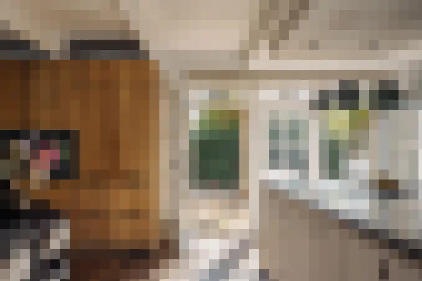 Den Ilp 201 Den Ilp thumbnail 9
