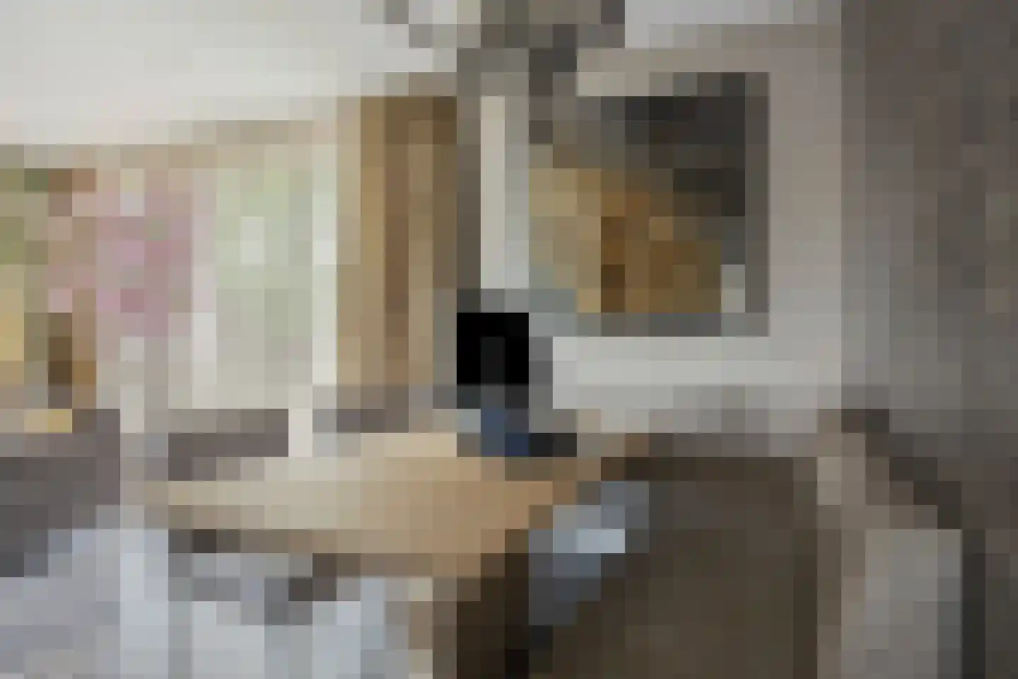 Den Ilp 8 Den Ilp thumbnail 20