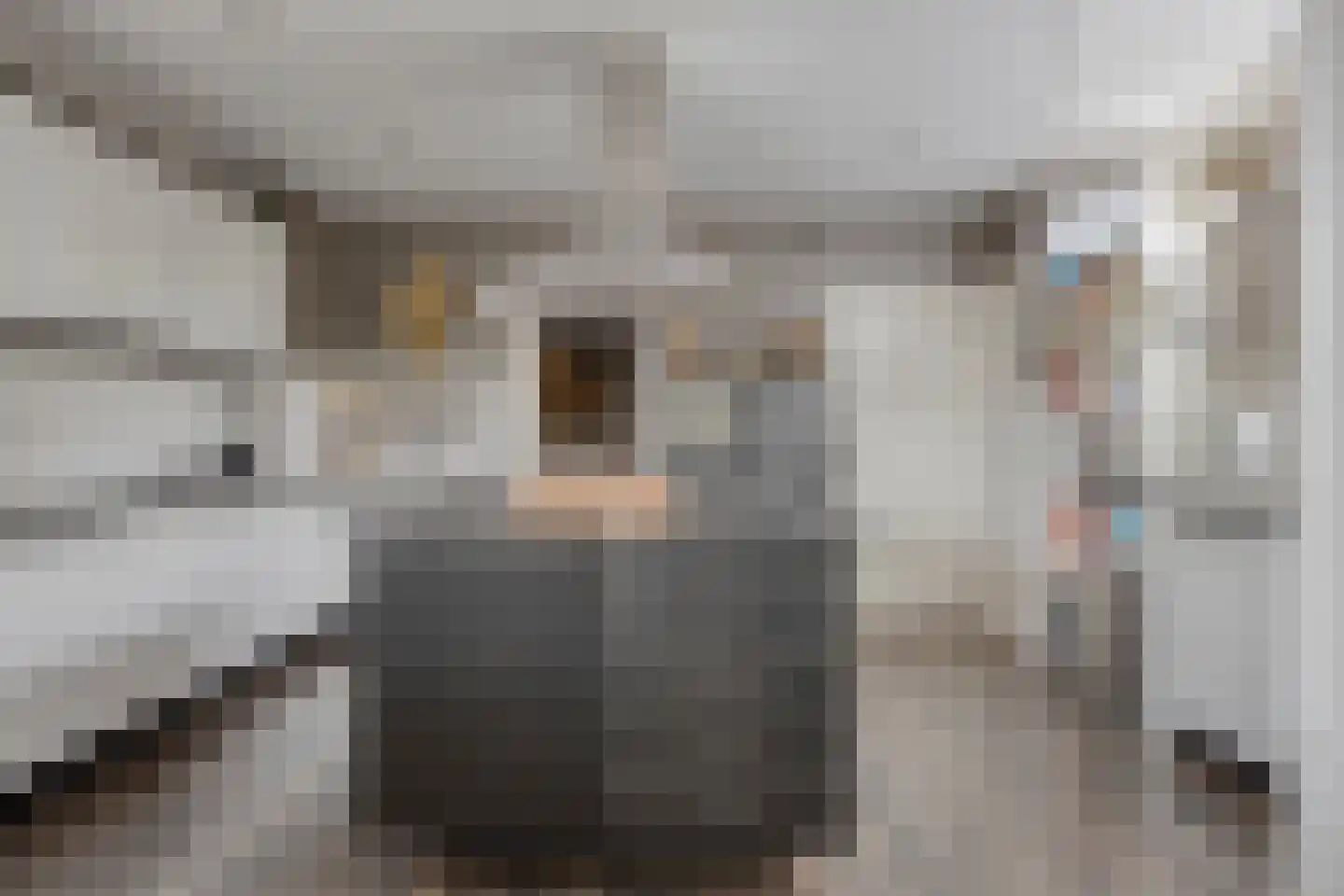 Den Ilp 8 Den Ilp thumbnail 21
