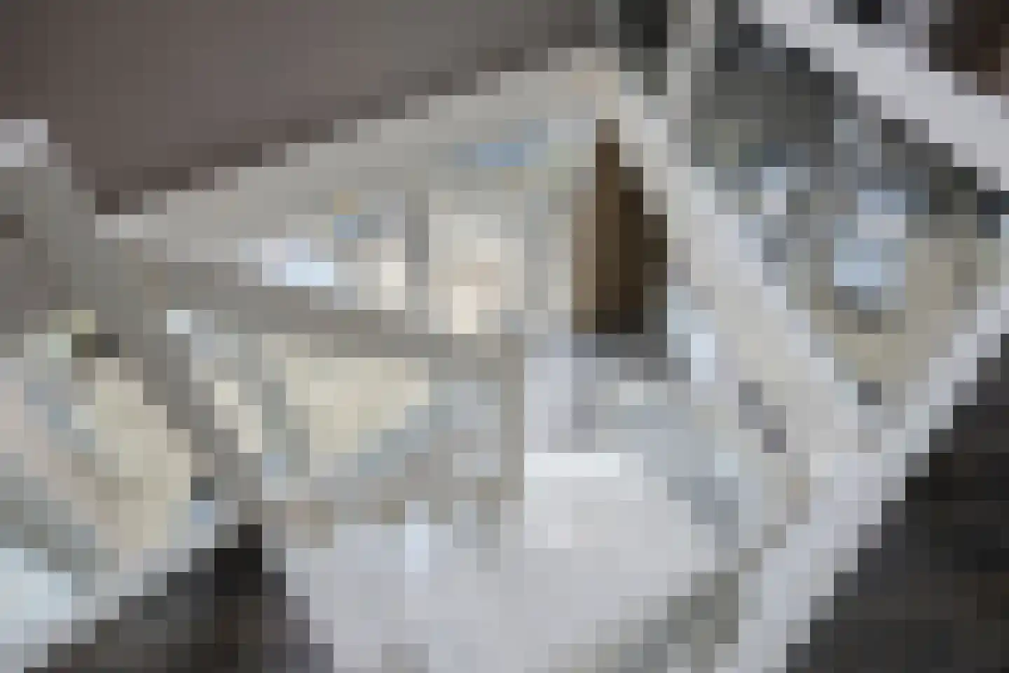 Den Ilp 8 Den Ilp thumbnail 24