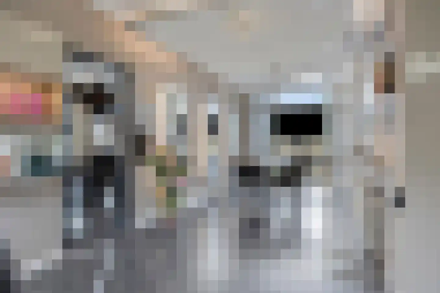 Den Ilp 8 Den Ilp thumbnail 37