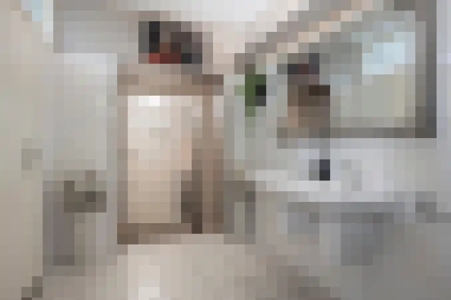Den Ilp 8 Den Ilp thumbnail 42