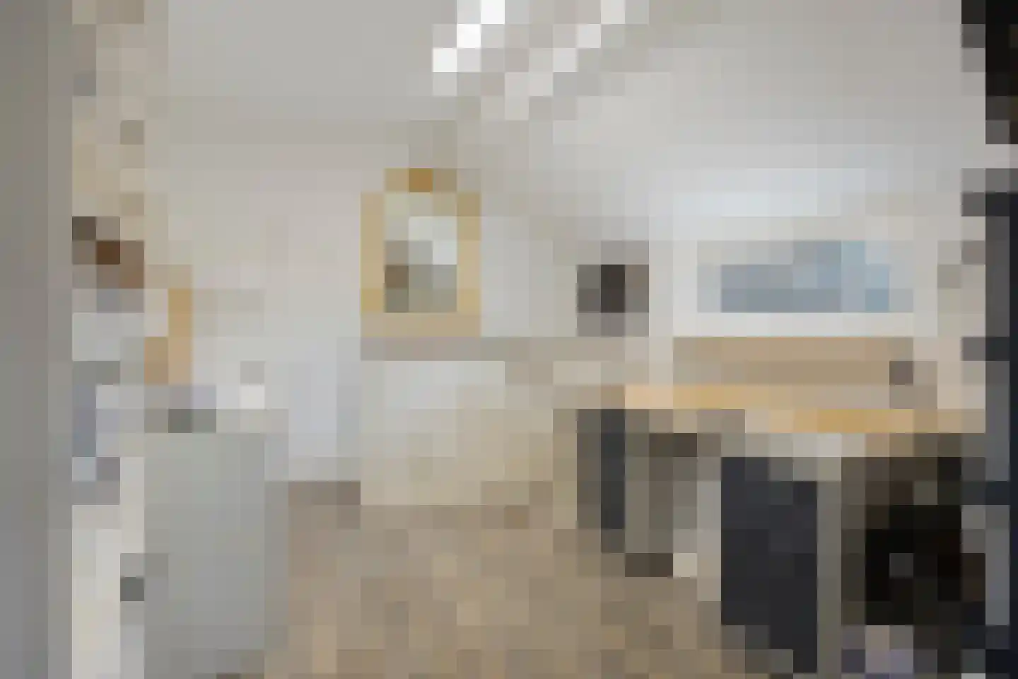 Den Ilp 8 Den Ilp thumbnail 50