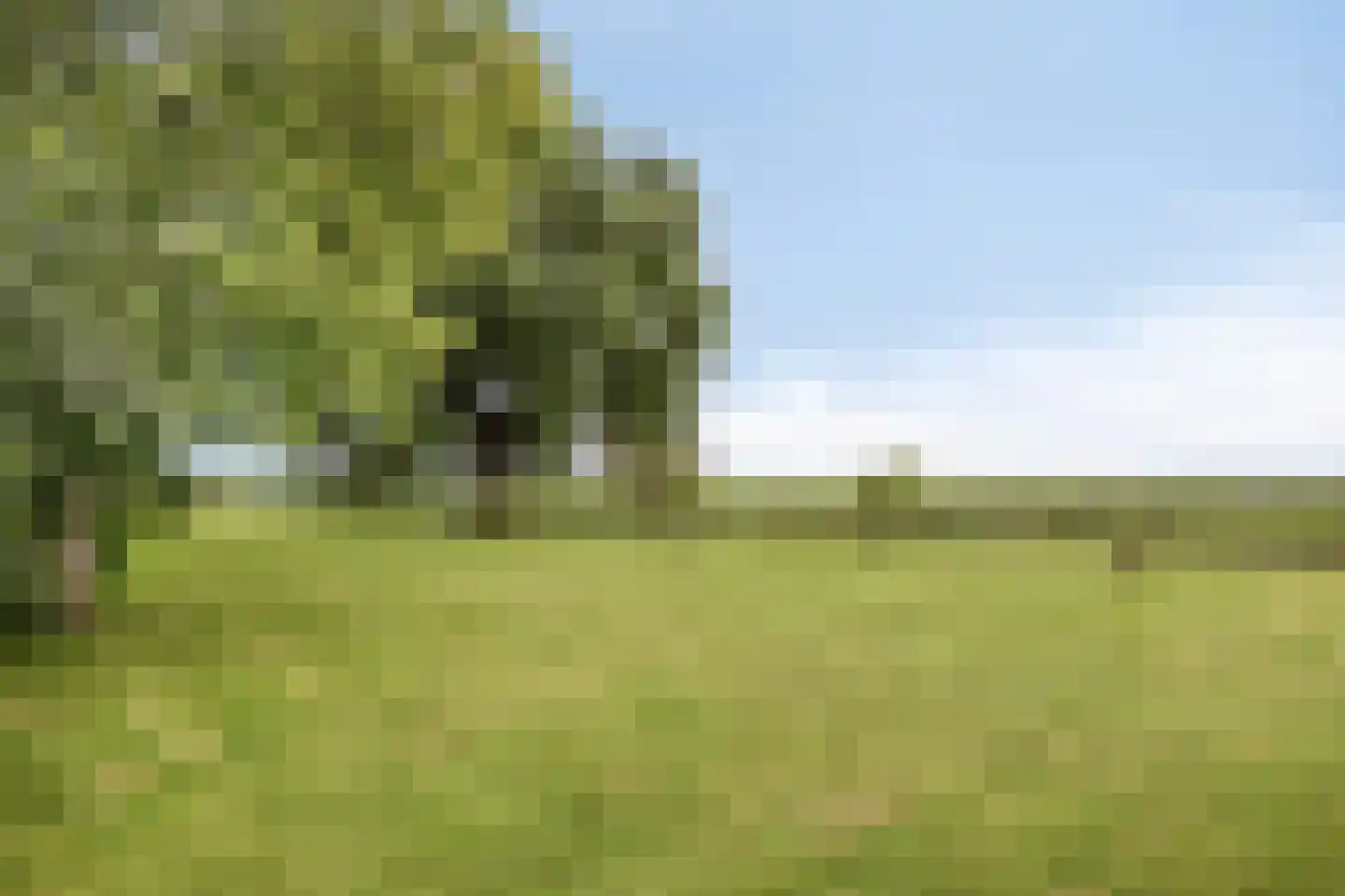 Den Ilp 8 Den Ilp thumbnail 57