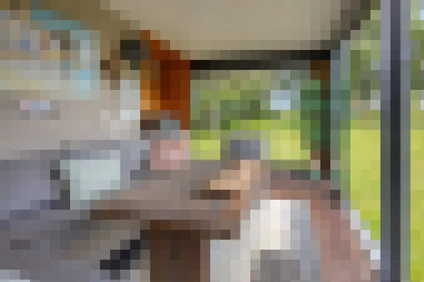 Den Ilp 8 Den Ilp thumbnail 58