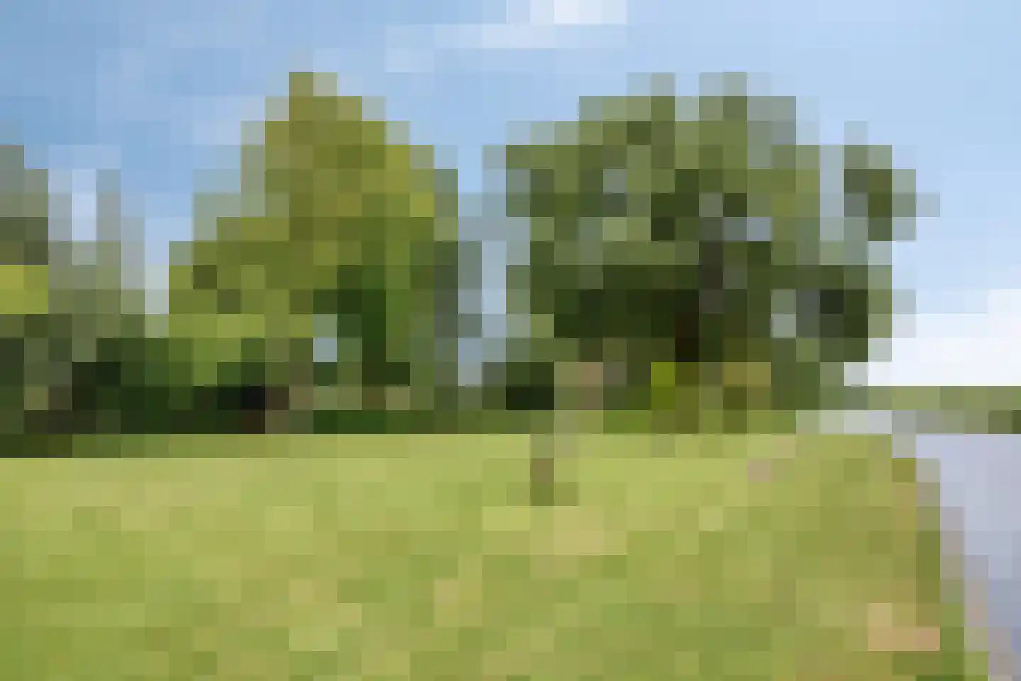 Den Ilp 8 Den Ilp thumbnail 63