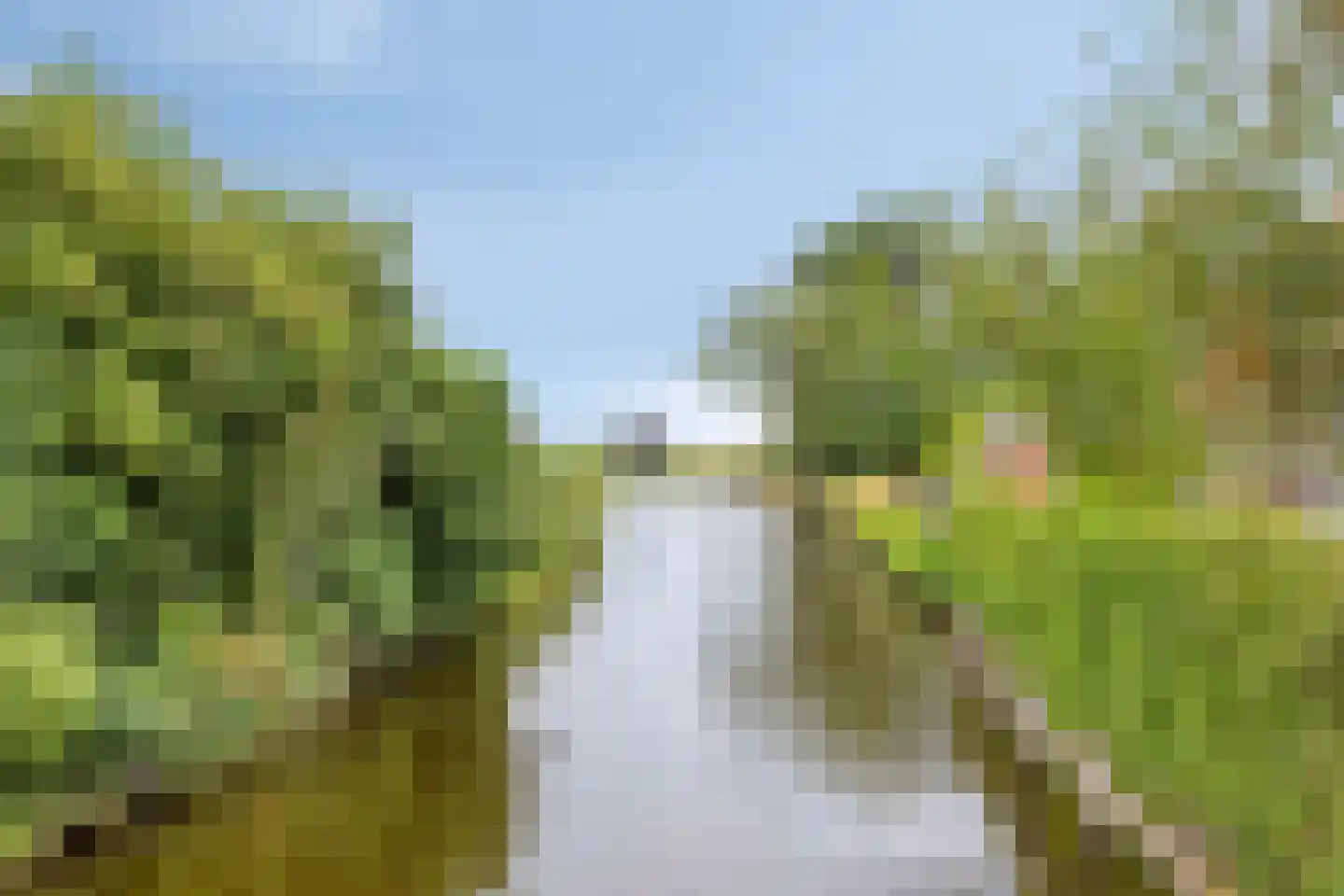 Den Ilp 8 Den Ilp thumbnail 68
