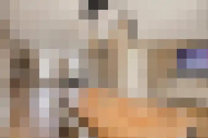 den Joris 2 Mierlo thumbnail 10