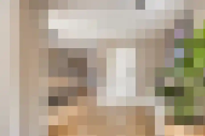 den Joris 2 Mierlo thumbnail 11