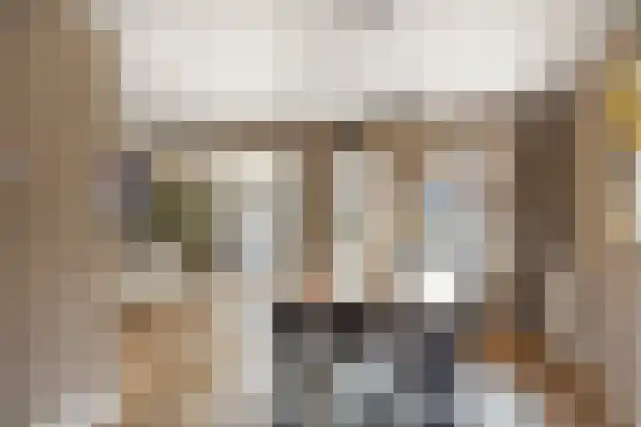 den Joris 2 Mierlo thumbnail 12
