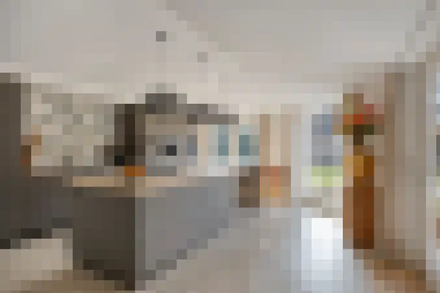 den Joris 2 Mierlo thumbnail 13