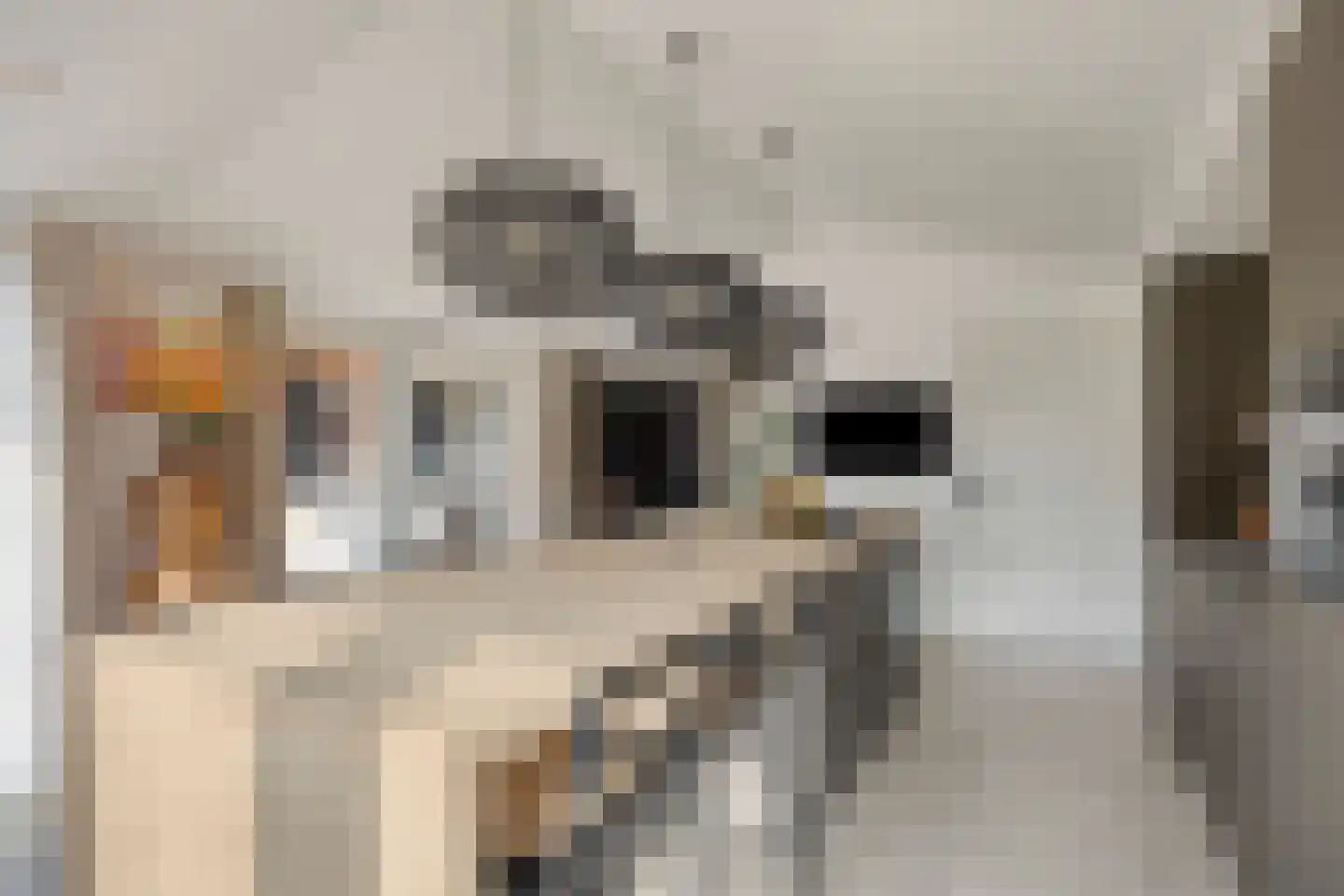 den Joris 2 Mierlo thumbnail 14