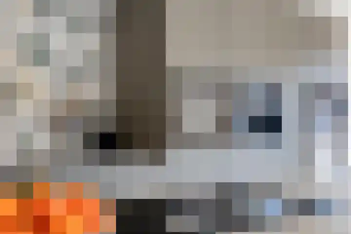 den Joris 2 Mierlo thumbnail 16