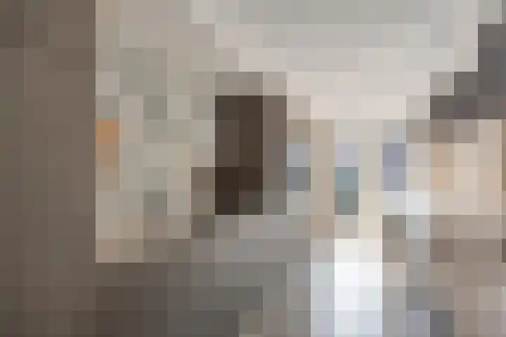 den Joris 2 Mierlo thumbnail 17
