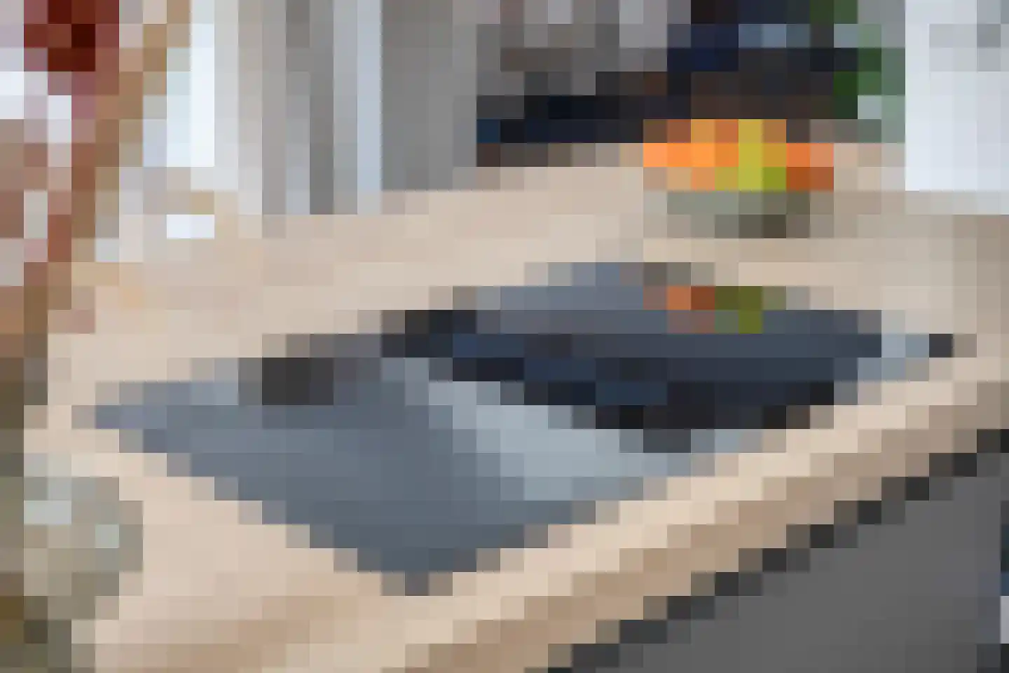 den Joris 2 Mierlo thumbnail 18