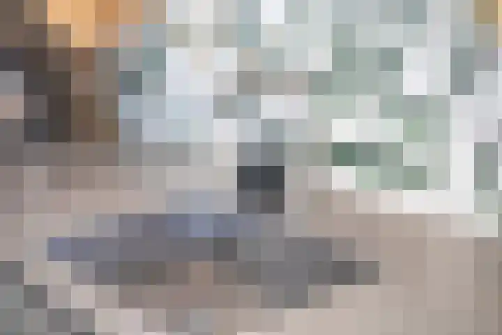 den Joris 2 Mierlo thumbnail 19