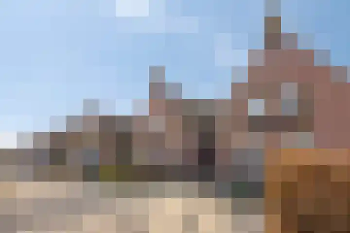 den Joris 2 Mierlo foto 2