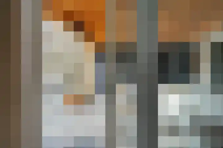 den Joris 2 Mierlo thumbnail 21
