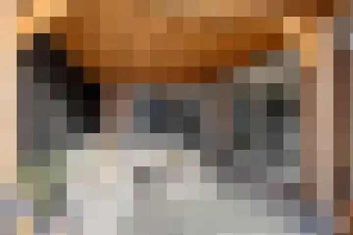 den Joris 2 Mierlo thumbnail 22