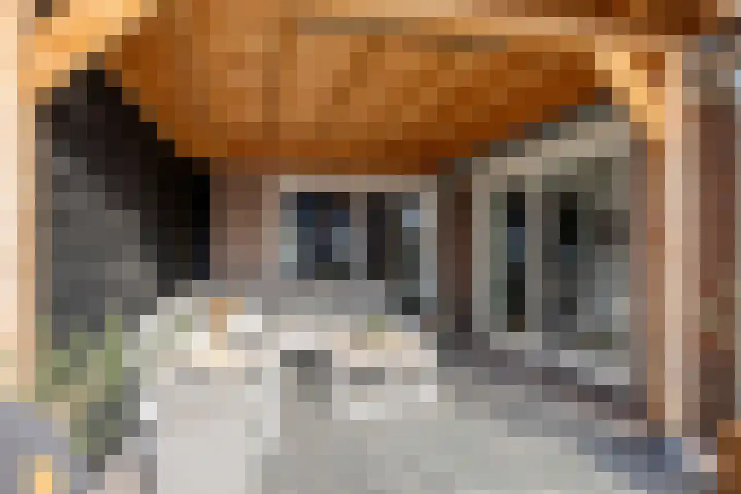 den Joris 2 Mierlo thumbnail 22