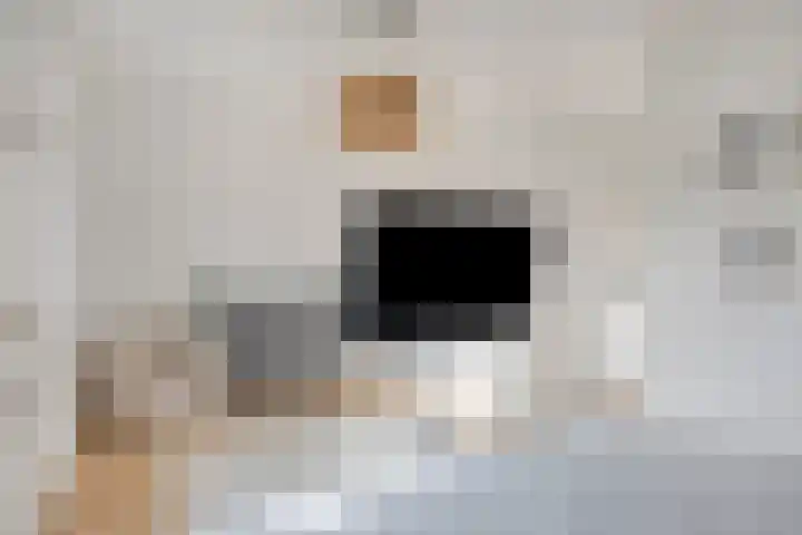 den Joris 2 Mierlo thumbnail 25