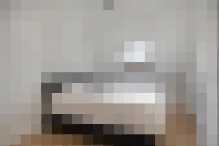 den Joris 2 Mierlo thumbnail 28