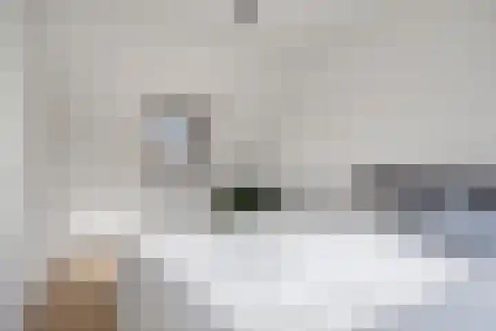 den Joris 2 Mierlo thumbnail 29