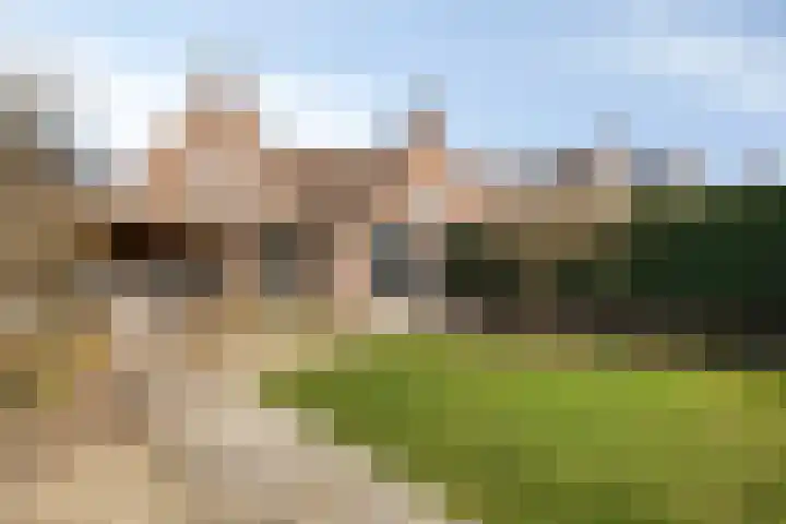 den Joris 2 Mierlo foto 3