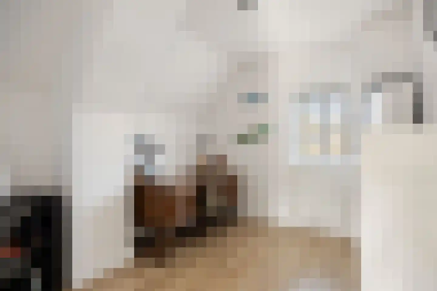 den Joris 2 Mierlo thumbnail 30