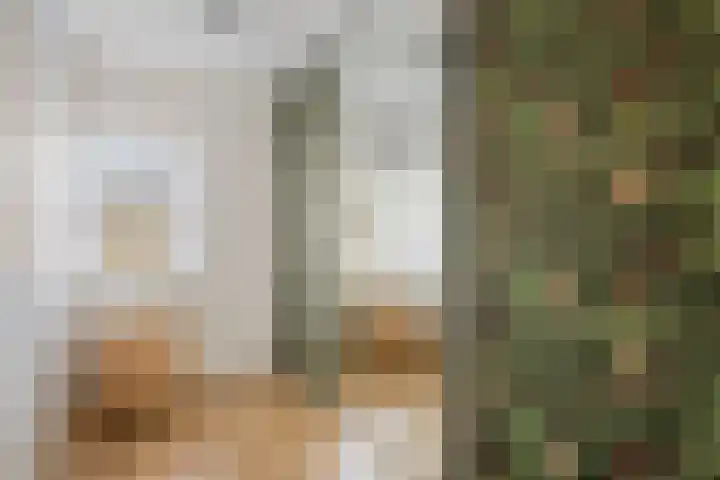 den Joris 2 Mierlo thumbnail 31