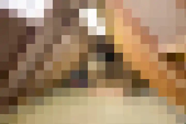 den Joris 2 Mierlo thumbnail 32