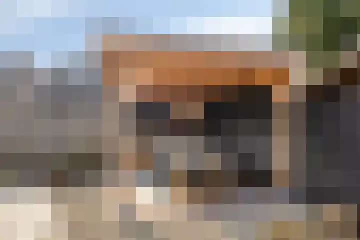 den Joris 2 Mierlo thumbnail 34