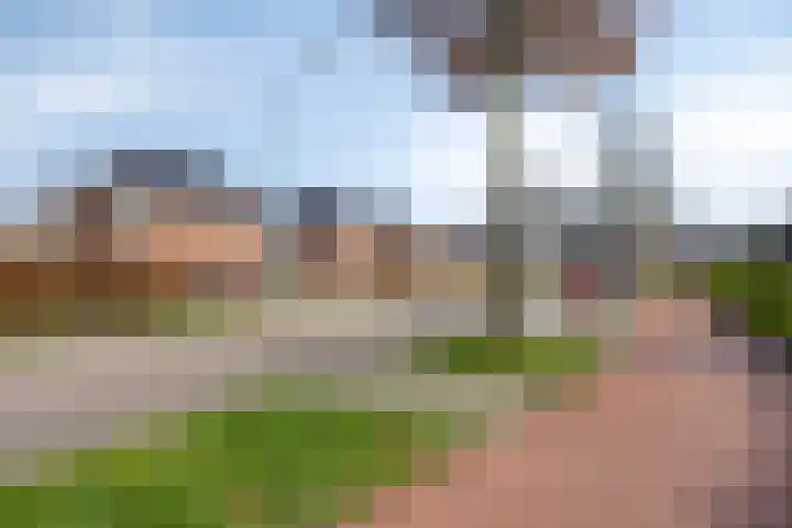den Joris 2 Mierlo thumbnail 35
