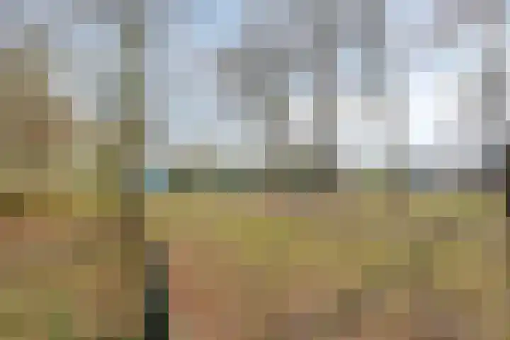 den Joris 2 Mierlo thumbnail 36