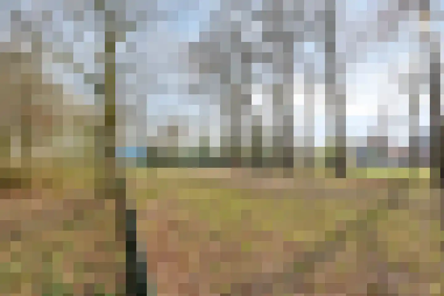 den Joris 2 Mierlo thumbnail 36