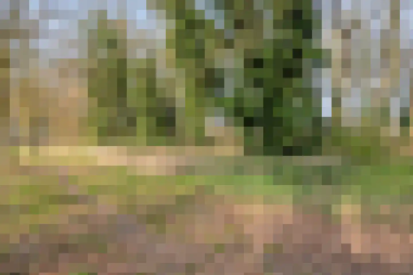 den Joris 2 Mierlo thumbnail 37