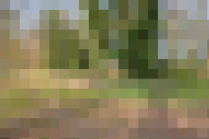 den Joris 2 Mierlo thumbnail 37