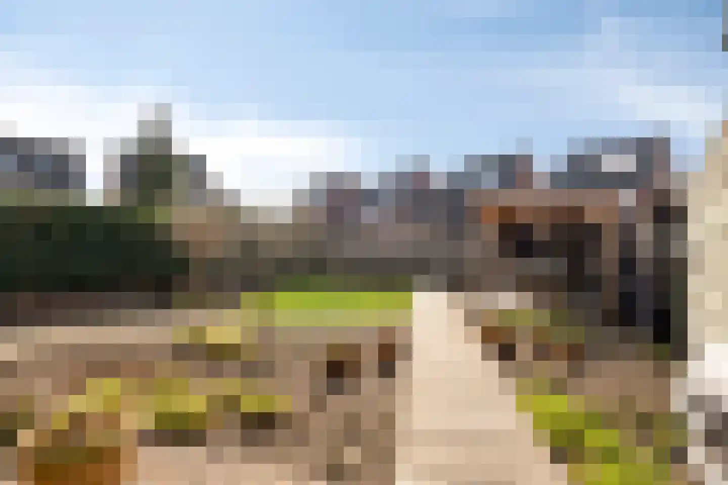 den Joris 2 Mierlo thumbnail 4
