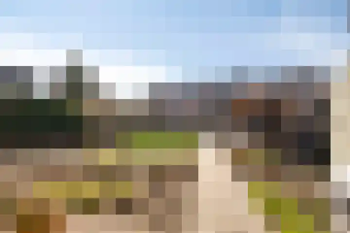 den Joris 2 Mierlo thumbnail 4