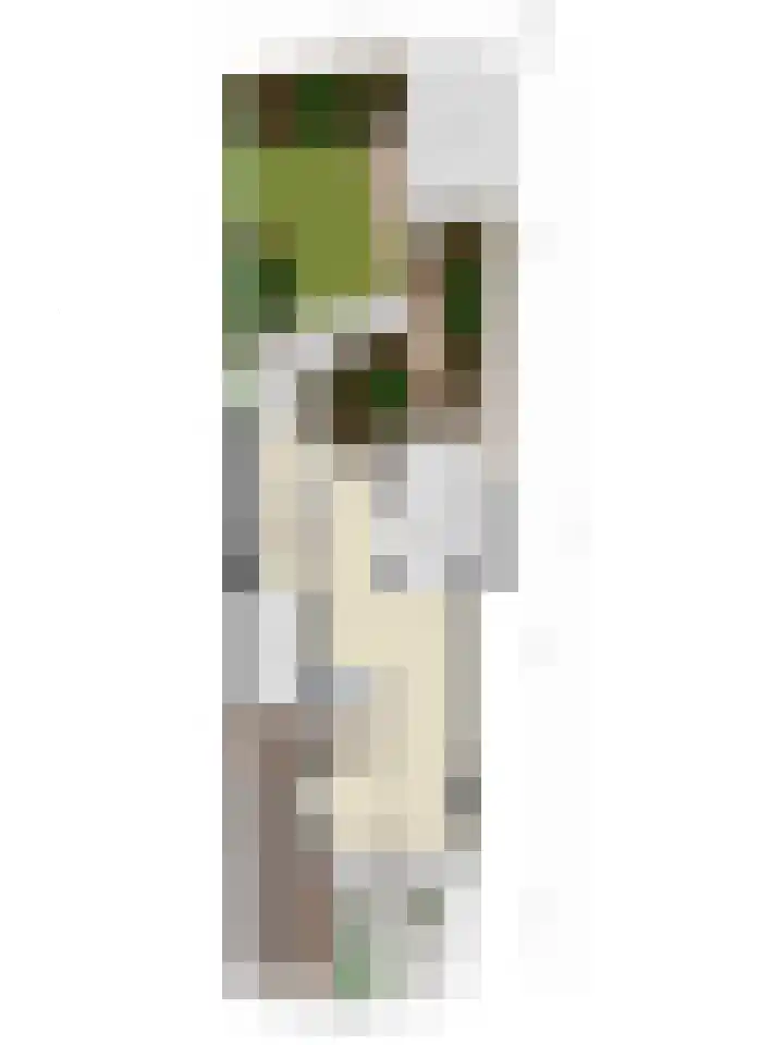 den Joris 2 Mierlo thumbnail 40