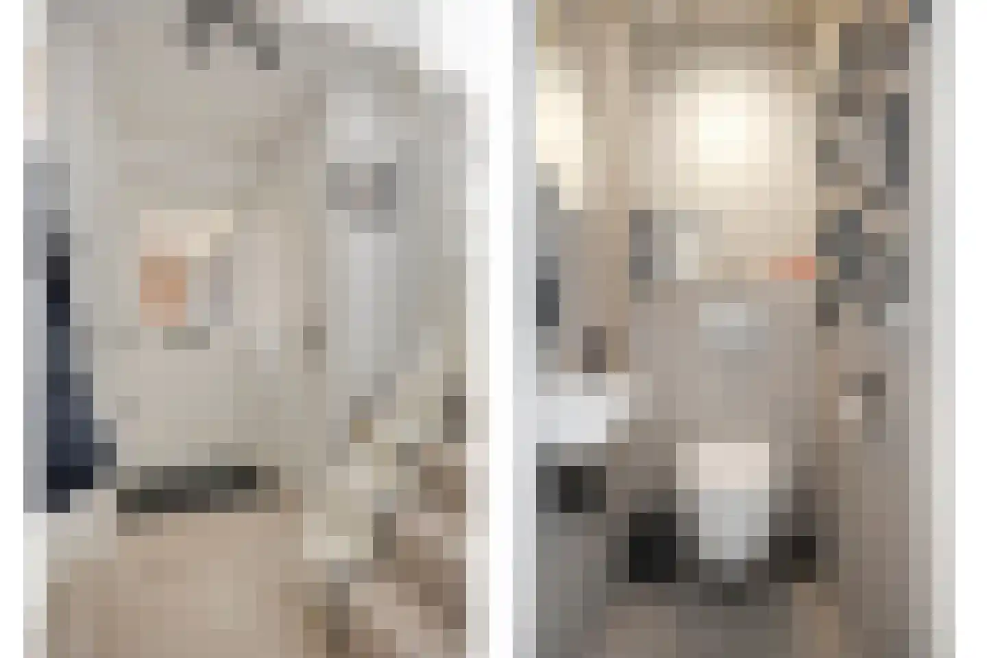 den Joris 2 Mierlo thumbnail 5