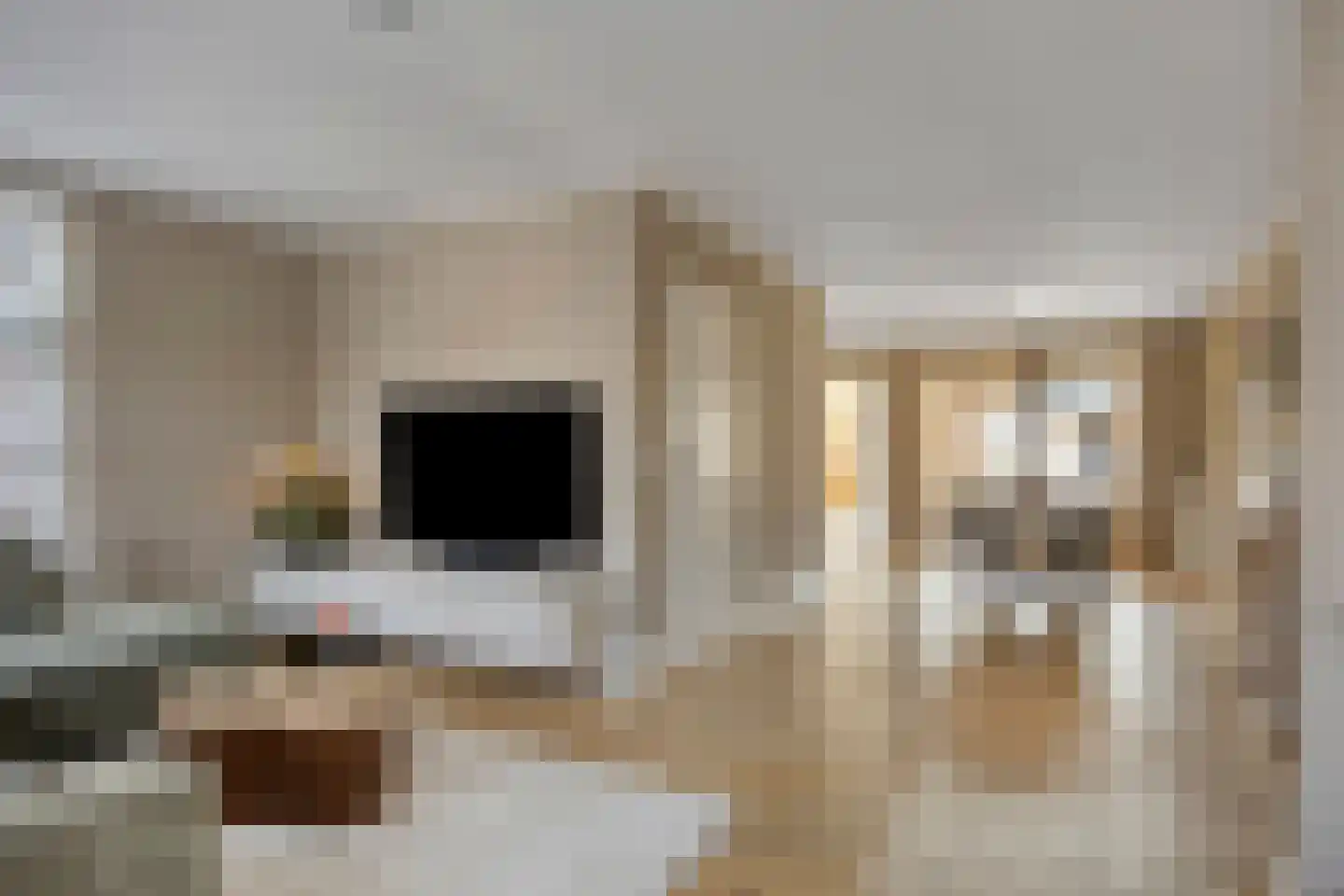 den Joris 2 Mierlo thumbnail 6