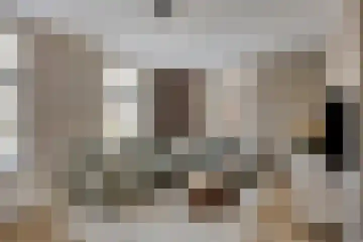 den Joris 2 Mierlo thumbnail 9
