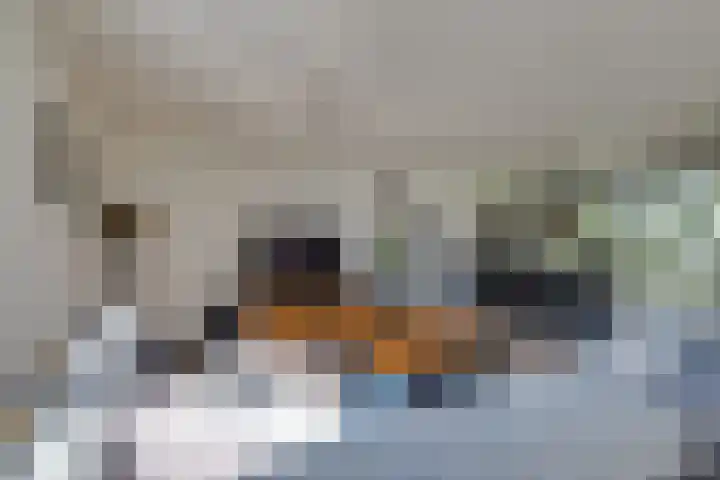 Den Koem 40 Groenlo thumbnail 13