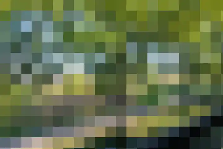 Den Koem 40 Groenlo thumbnail 18