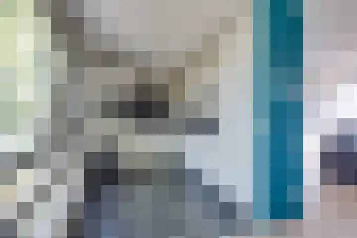 Den Koem 40 Groenlo thumbnail 19